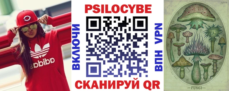 наркотики  Шлиссельбург  Псилоцибиновые грибы мухоморы 